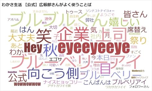 わかさ生活 ブルーベリーアイ ブルべりアイ