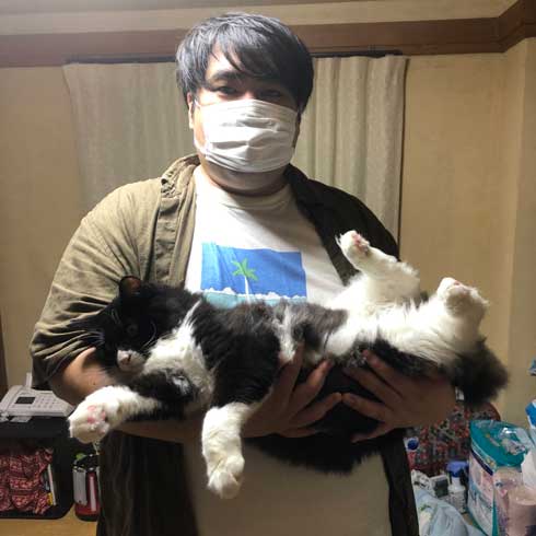 母 いいこと 子猫 めちゃくちゃでかくなってた 成長 ビフォーアフター 澤部渡