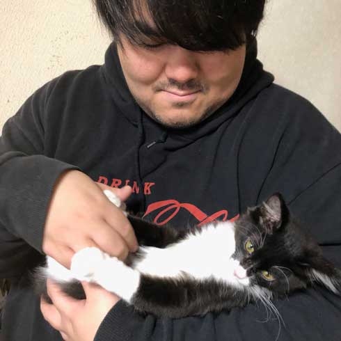 母 いいこと 子猫 めちゃくちゃでかくなってた 成長 ビフォーアフター 澤部渡