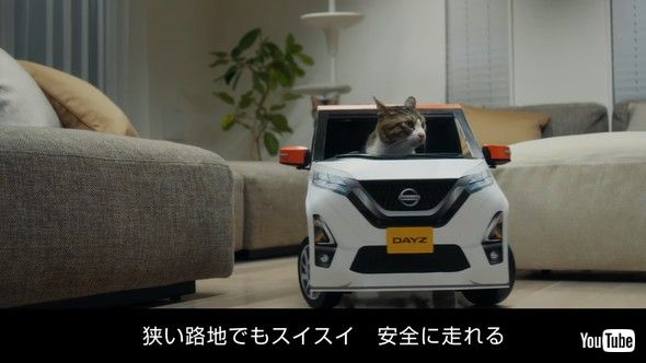 日産 デイズ 猫
