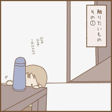 好奇心お触り1歳児