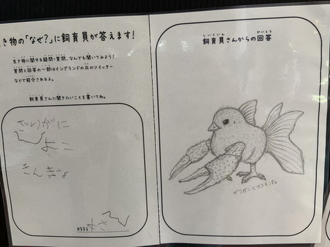 ザリガニヒヨコキンギョ