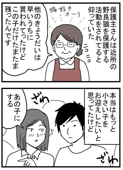 トット（猫）が我が家に来た時の話