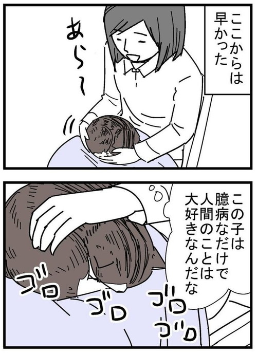 トット（猫）が我が家に来た時の話