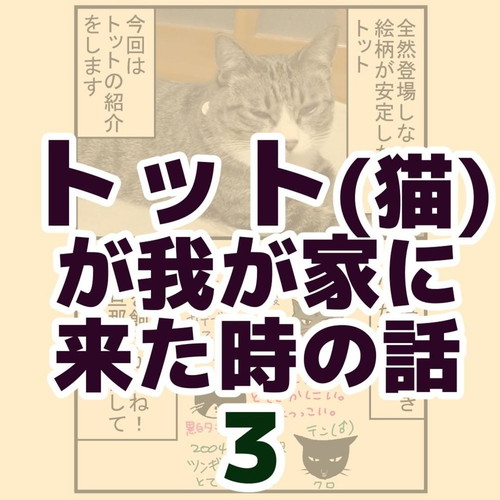 トット（猫）が我が家に来た時の話