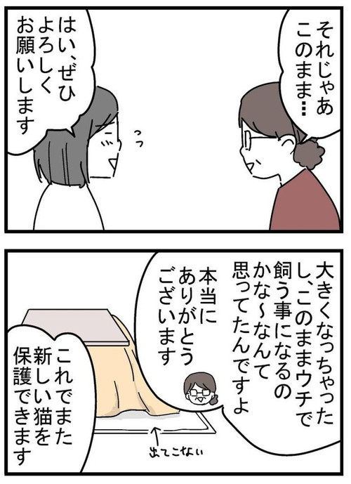 トット（猫）が我が家に来た時の話