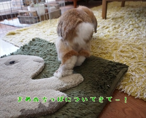 もんじももじじ