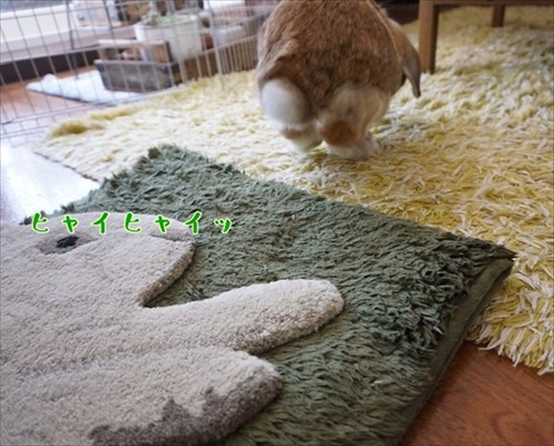 もんじももじじ