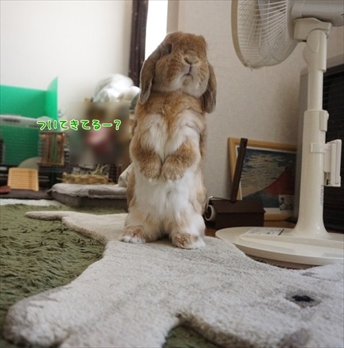 もんじももじじ