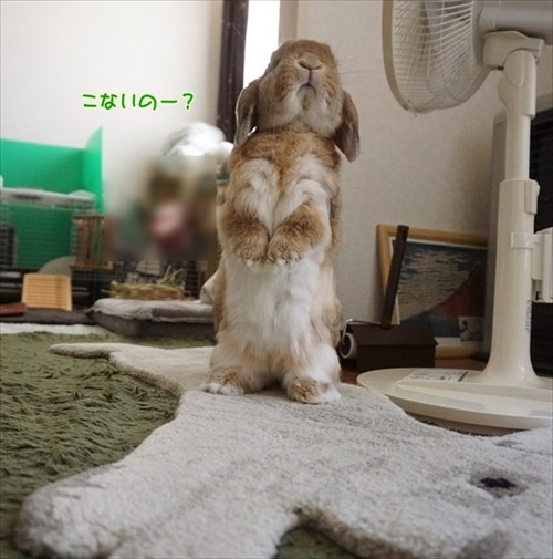 もんじももじじ