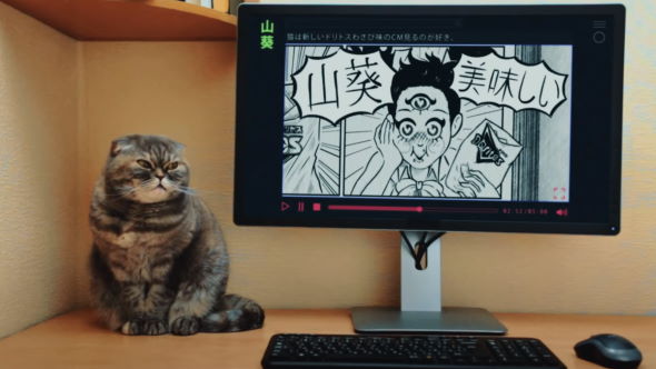 ドリトス わさび ブラジル 広告 動画 CM