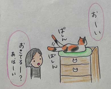 愛猫 クロ 23歳 誕生日 白髪 長生き 黒猫 美人