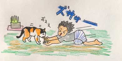 愛猫 クロ 23歳 誕生日 白髪 長生き 黒猫 美人