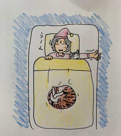 愛猫 クロ 23歳 誕生日 白髪 長生き 黒猫 美人
