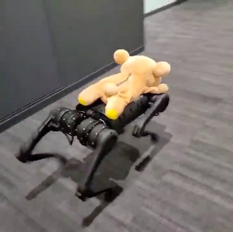 リラックマ 犬型ロボット 機動力