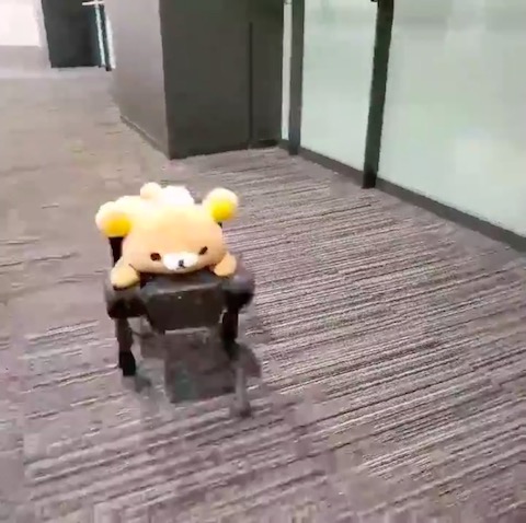 リラックマ 犬型ロボット 機動力