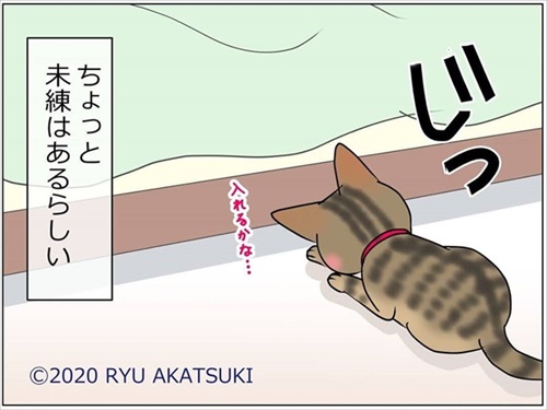 ベッド下の封印を巡る攻防