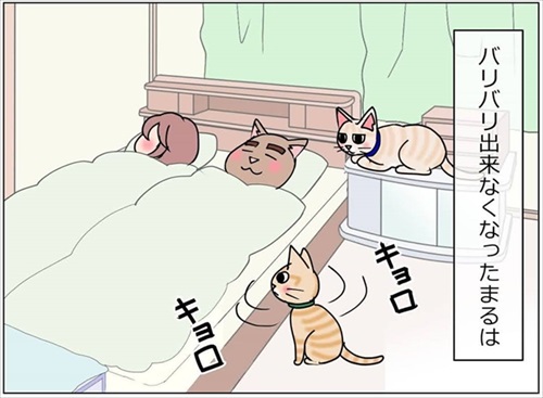 ベッド下の封印を巡る攻防