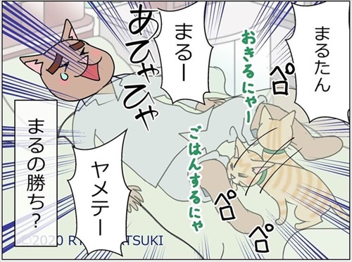 ベッド下の封印を巡る攻防