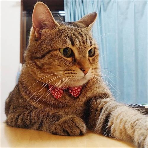 ベッド下の封印を巡る攻防