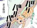 勝つのは人か猫ちゃんか……!?　ベッド下をかきむしる猫ちゃんとの攻防を描いた漫画に共感の声が続々