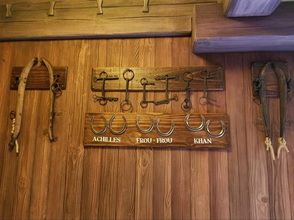 ディズニー美女と野獣解説