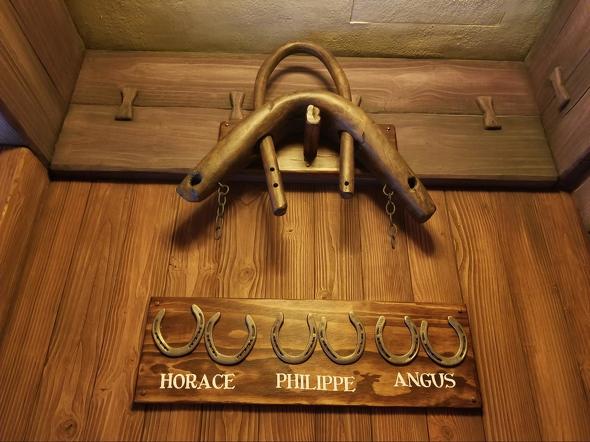 ディズニー美女と野獣解説