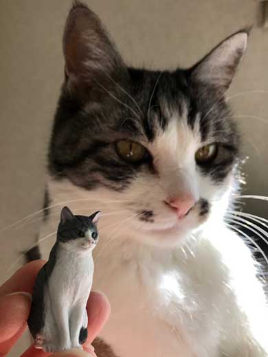 娘 キャットフード ガチャ ミニチュア 愛猫 遺影 お供え