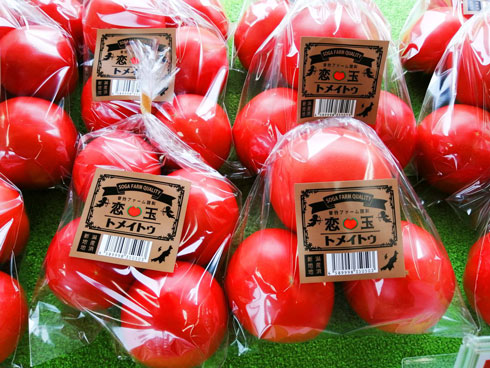 トメイトゥ 商品名 英語 発音 曽我ファーム 新潟 トマト 農家