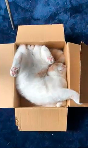 みかんとじろうさんちさん