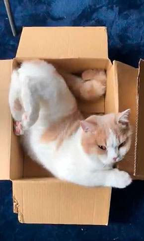 みかんとじろうさんちさん