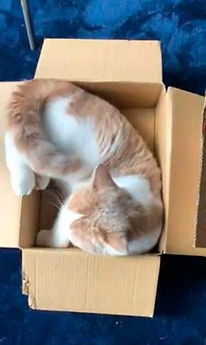 みかんとじろうさんちさん