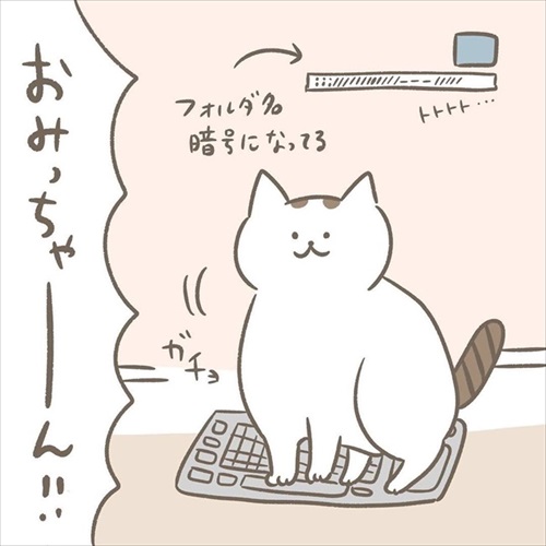 邪魔する猫ちゃんとの攻防