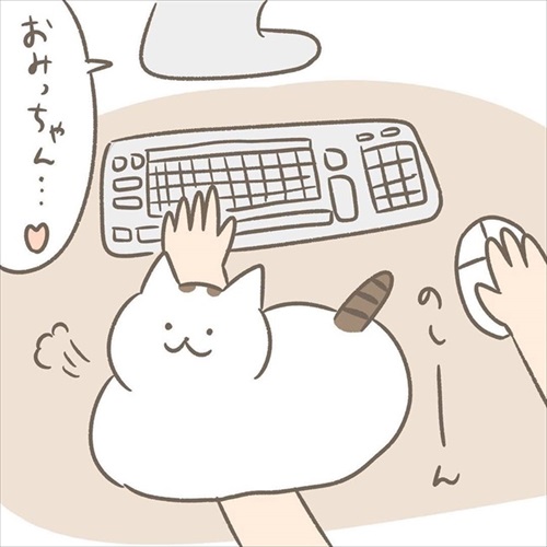 邪魔する猫ちゃんとの攻防