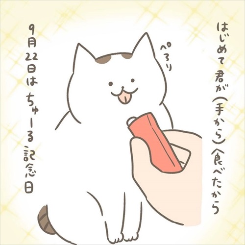 邪魔する猫ちゃんとの攻防