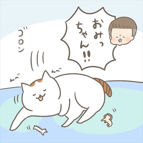 邪魔する猫ちゃんとの攻防