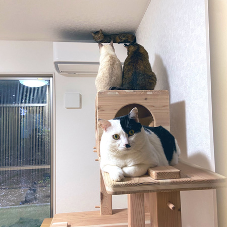 むーちゃん後ろ後ろ
