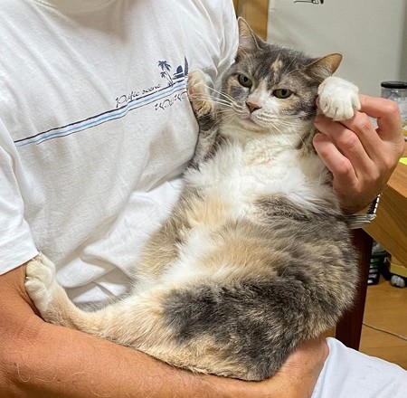 ラッコのようなネコちゃん