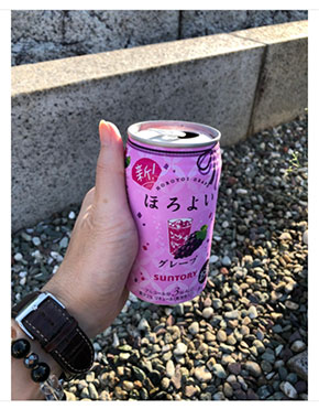 桜塚やっくん 命日 7回忌