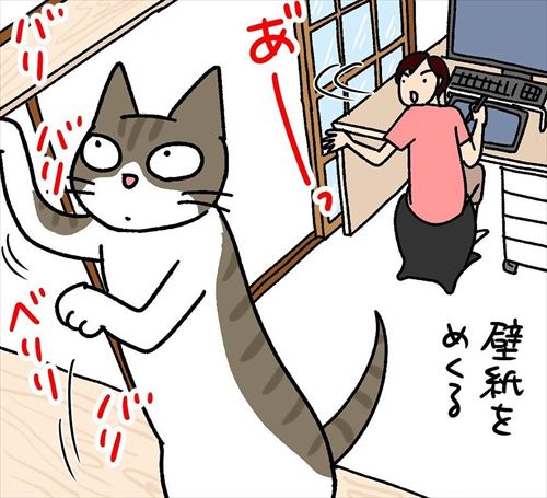 猫漫画