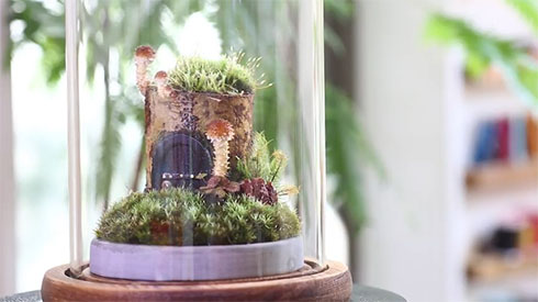 きのこリウムの妖精のおうち