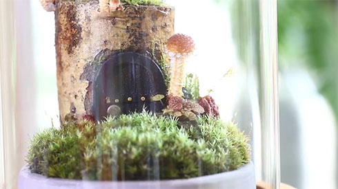 きのこリウム妖精のおうちのドア周り