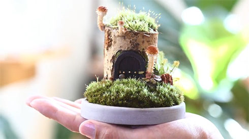 ホダ木にドアをつけたところ