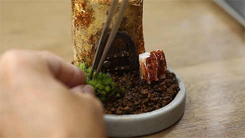 コケを植え付ける様子