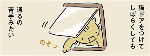 猫ちゃんのわがまま