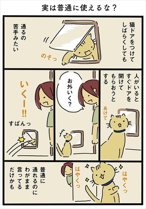 猫ちゃんのわがまま