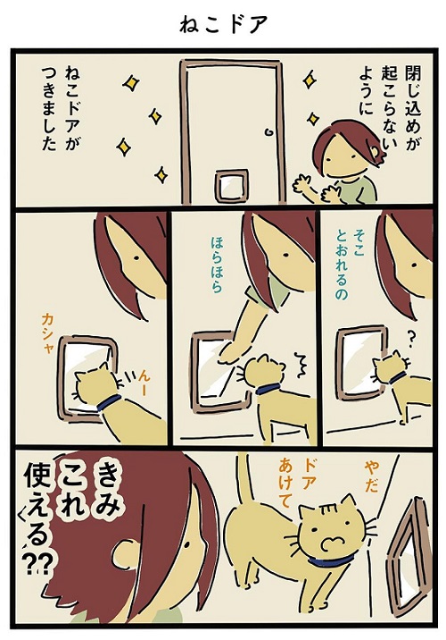 猫ちゃんのわがまま