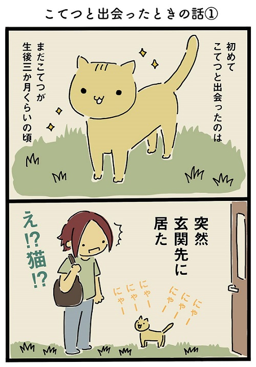 猫ちゃんのわがまま