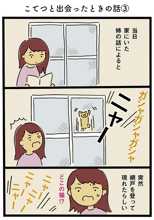 猫ちゃんのわがまま