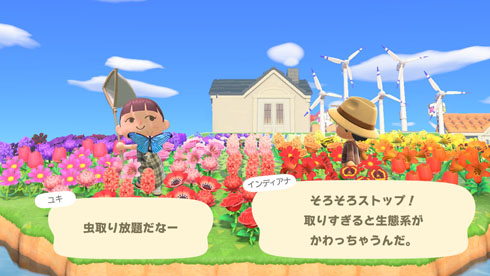 トレジャーアイランド